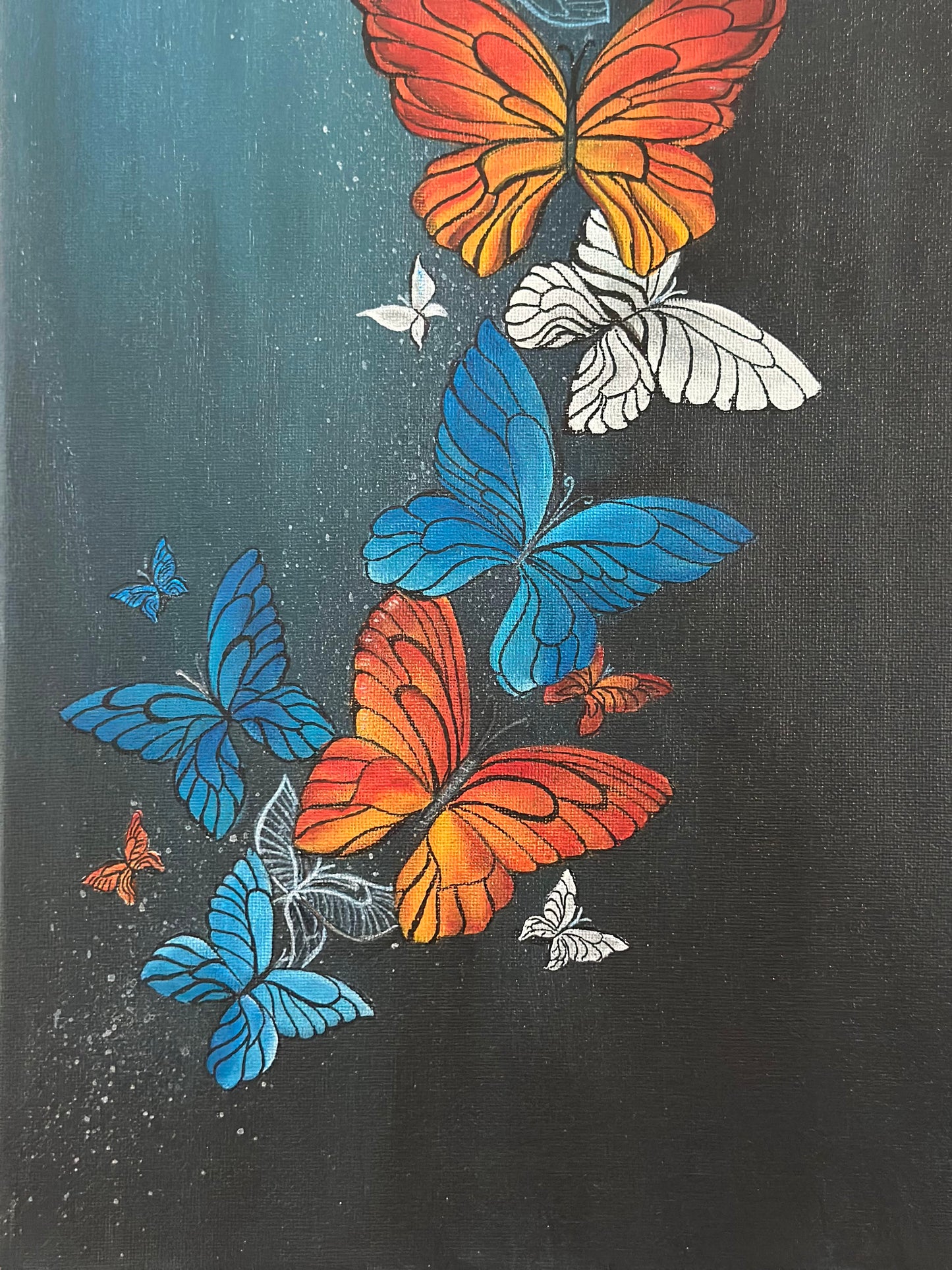 Kaleidoscope of butterflies