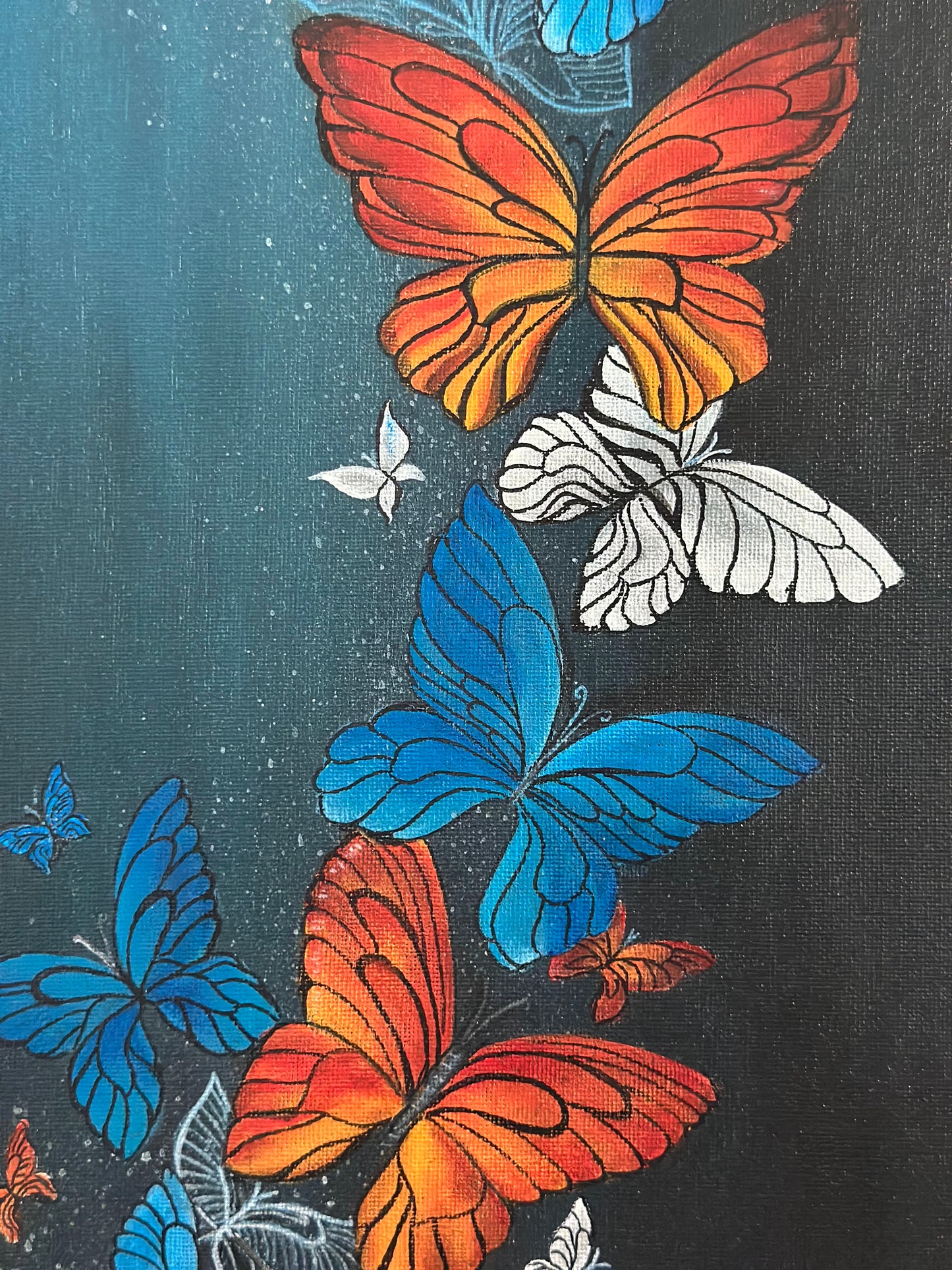 Kaleidoscope of butterflies