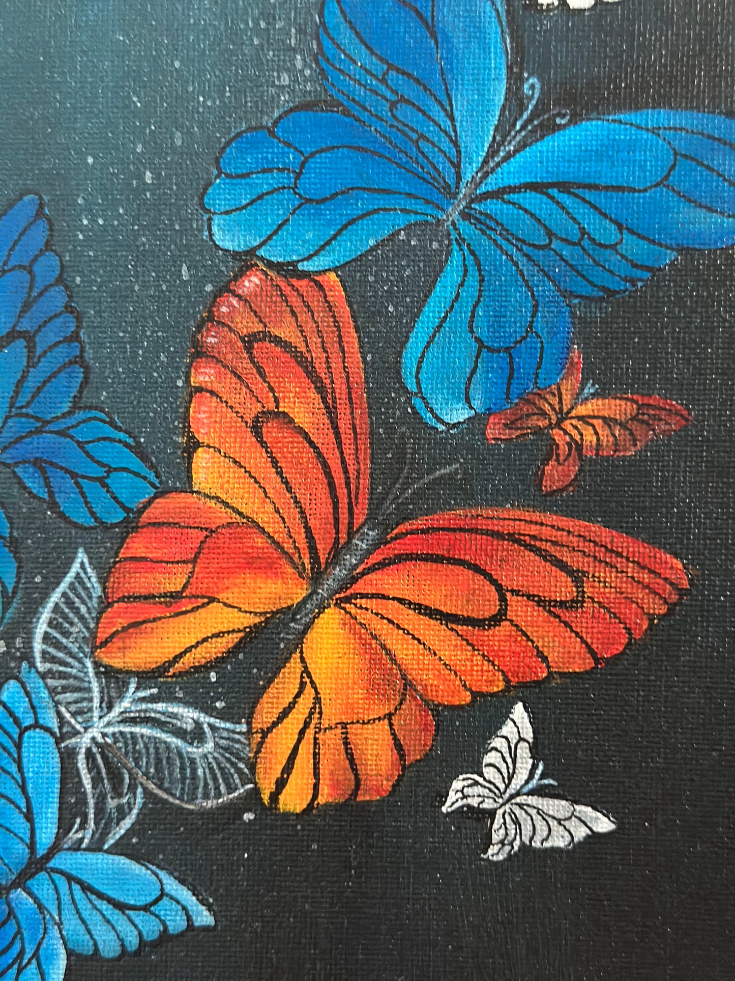 Kaleidoscope of butterflies