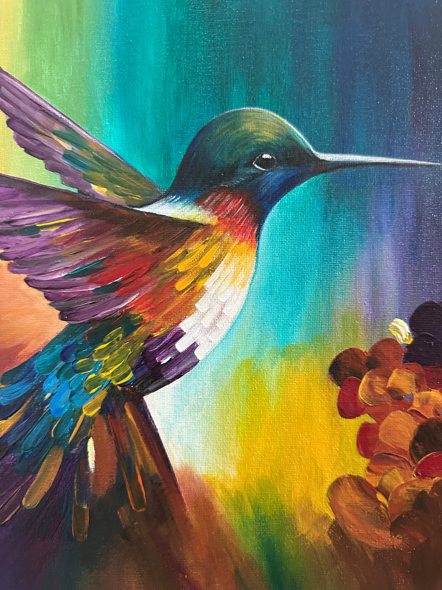 Dazzling Hummingbird